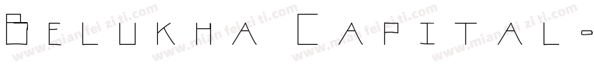 Belukha Capital字体转换